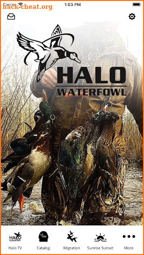 Halo Waterfowl screenshot
