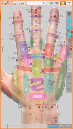 Hand Acupuncture screenshot