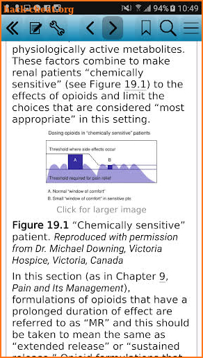 Handbook of Palliative Care 3e screenshot