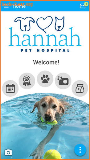 Hannah Pets screenshot