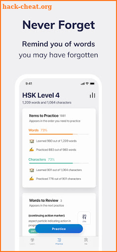 Hanyu Wave - HSK 1-6 words and characters screenshot