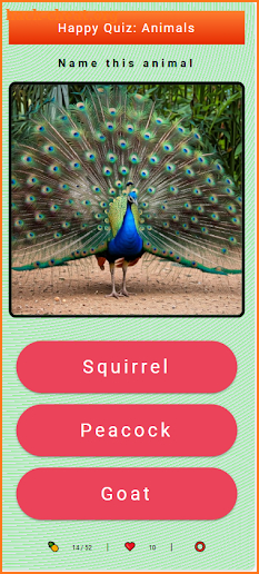 Happy Quiz: Animals (EN) screenshot