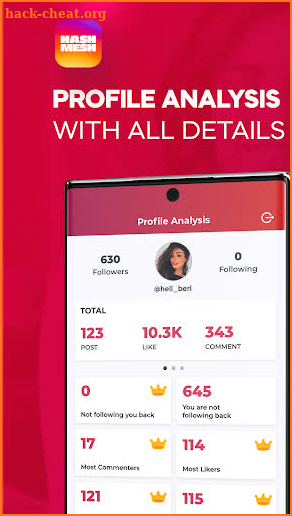 HashMesh - Profile Analysis and Reports screenshot