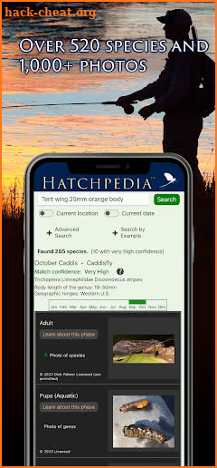 Hatchpedia screenshot