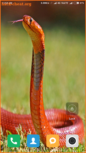 HD Snake Wallpapers screenshot