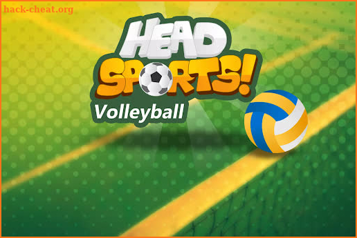 Head Sports Volleyball screenshot