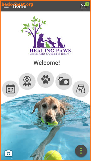 Healing Paws Veterinary Care screenshot