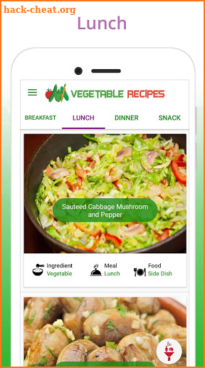 Healthy Vegetable Recipes screenshot