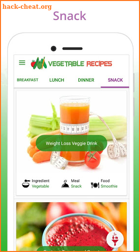 Healthy Vegetable Recipes screenshot