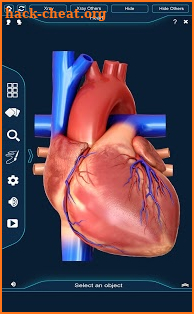 Heart Anatomy Pro. screenshot