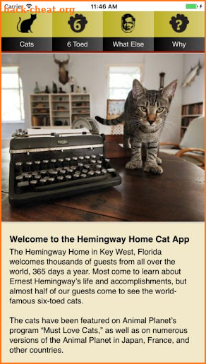 Hemingway Cats App screenshot