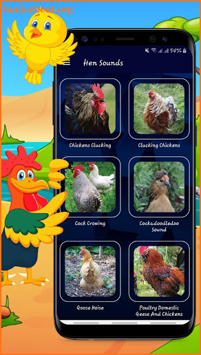 Hen Sound - Chicken Sounds - Rooster Sound screenshot