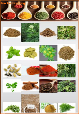 Herbs and Spices Benefits. screenshot