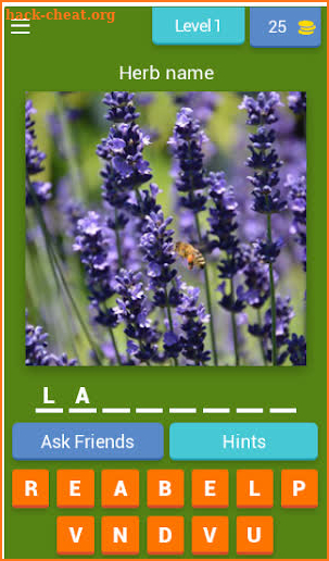 Herbs and spices quiz screenshot