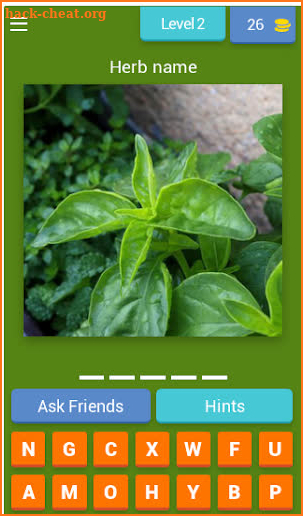Herbs and spices quiz screenshot