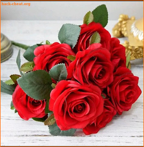 Hermosas flores y rosas Imágenes Gif screenshot