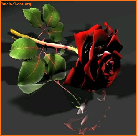 Hermosas flores y rosas Imágenes Gif screenshot