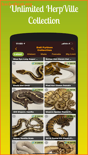 HerpVille - Reptile Keep & Trade screenshot