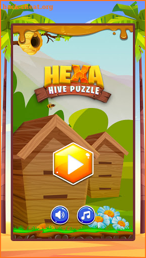 Hexa Hive Puzzle screenshot