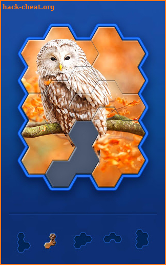 Hexa Jigsaw Challenge screenshot