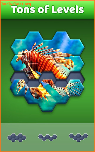 Jigsaw Puzzles Hexa download the new for mac