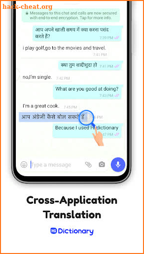Hi Dictionary-Free Language Translation Dictionary screenshot