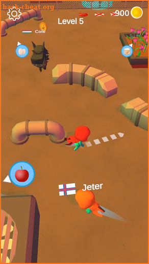 Hiding Race 3D screenshot