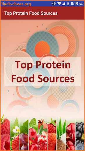 High Protein Diet Sources Food screenshot
