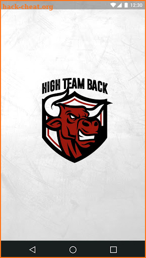 High Team Back screenshot