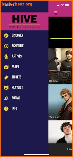 Hive Music Festival screenshot