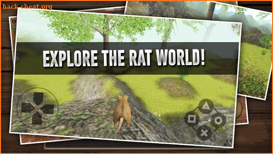 Home Rat simulator screenshot