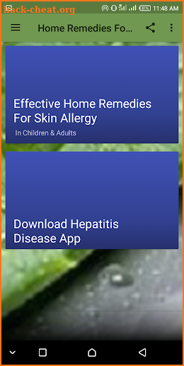 Home Remedies For Skin Allergy screenshot