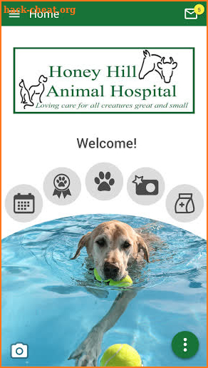 Honey Hill Animal Hospital screenshot