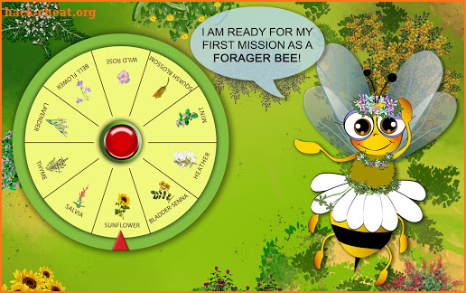 Honey Tina and Bees – Educational Game App screenshot
