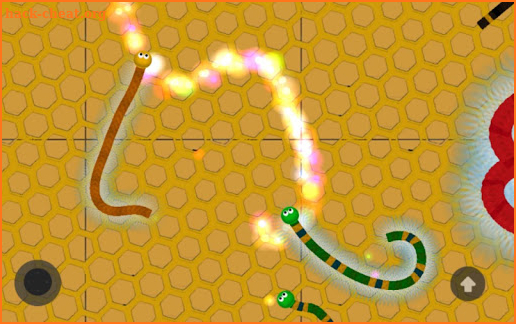 Honey Worm.IO screenshot