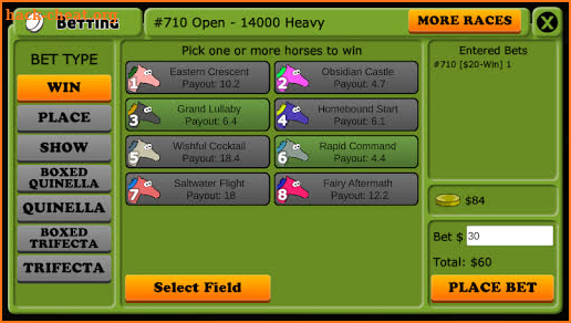 Hooves of Fire Horse Racing Game: Stable Manager screenshot