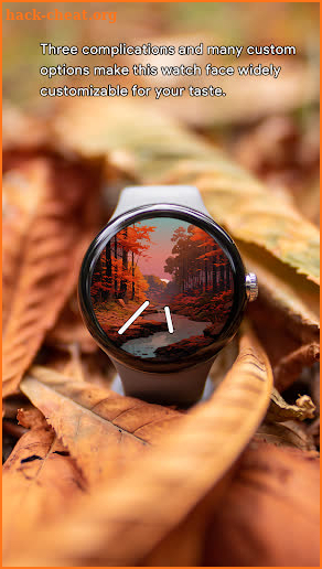 Horizon Autumn Watch Face screenshot