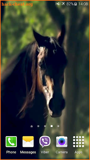 Horse 4K Video Live Wallpaper screenshot