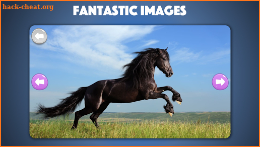 Horse and Pony jigsaw puzzle for kids and toddlers screenshot