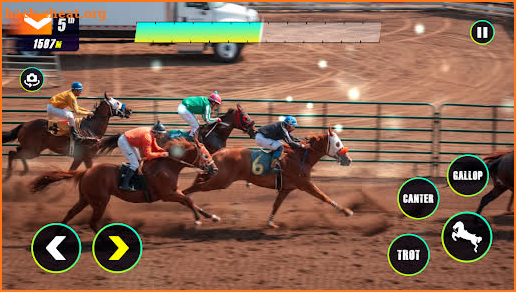 Horse Championship screenshot
