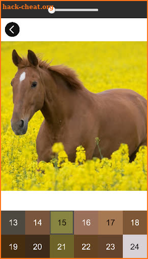 Horse Color By Number Game: Pony Pixel Art screenshot