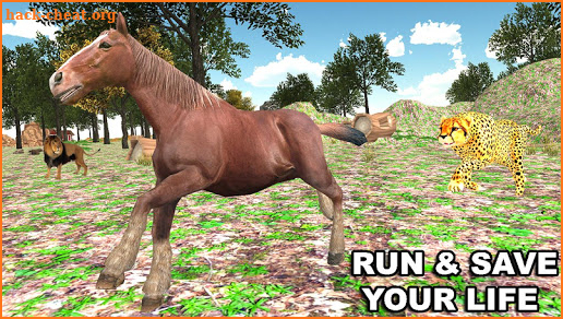 Horse Family Simulator 3D screenshot