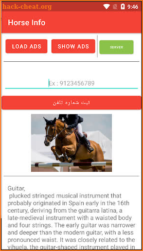 horse Info screenshot