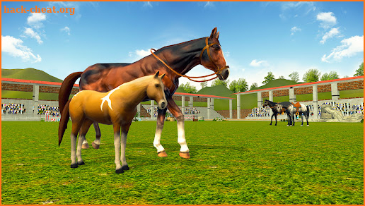 Horse Jumping 3D Simulator screenshot