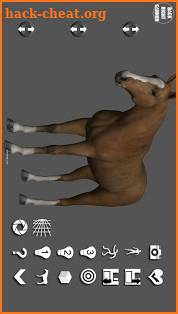 Horse Pose Tool 3D screenshot