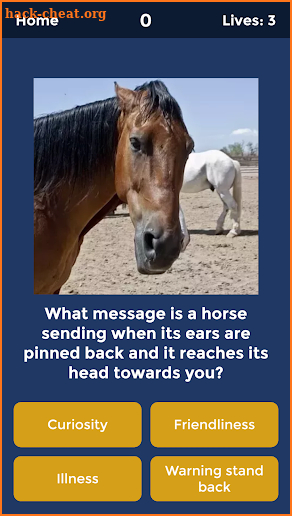 Horse Quiz: Equine Trivia Game screenshot