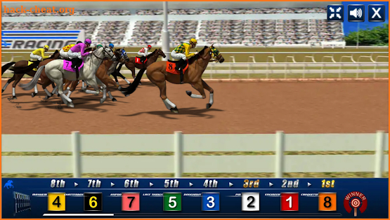 Horse Racing  - Casino Game screenshot