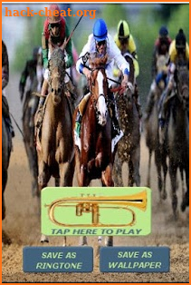 Horse Racing Ringtone screenshot