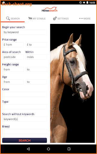 Horse Search screenshot