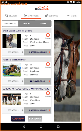 Horse Search screenshot